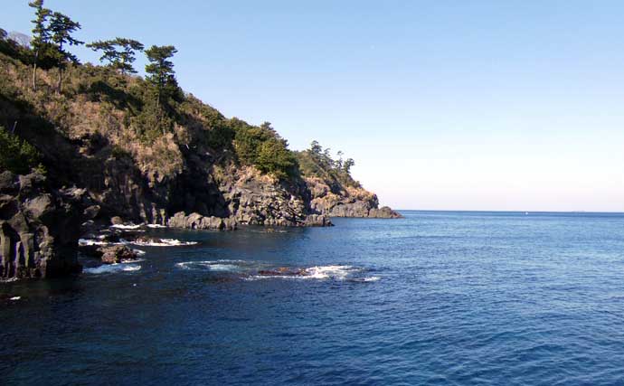 船中泊付きの離島釣り大会に参加【伊豆大島】まさかの優勝＆特別賞を同時受賞！