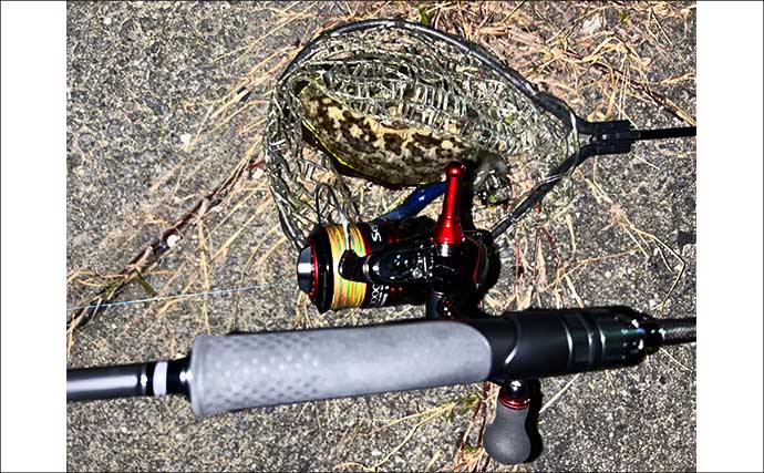 漁港エギング釣行でコウイカ5連発！「ボトムウォーク」アクションが的中