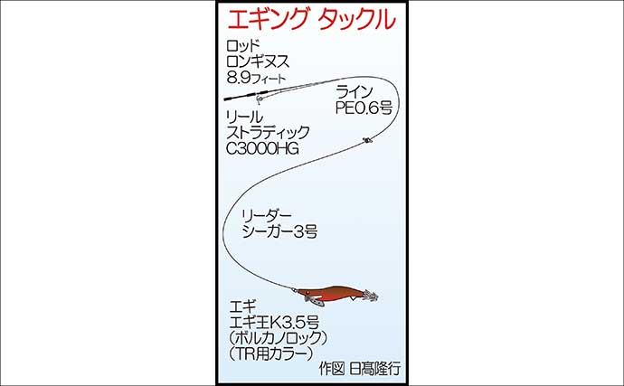 陸っぱりエギング釣行で1.2kgアオリイカ浮上【熊本】3kg超えキャッチの情報も！