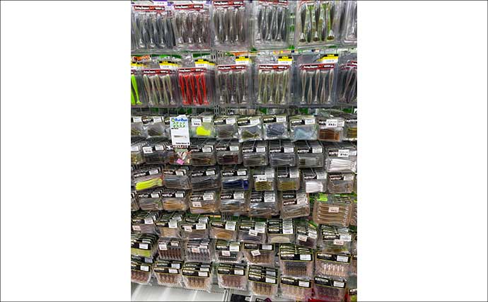 「専用品少ないけど大丈夫？」チニングにはバス用アイテムの流用がオススメ