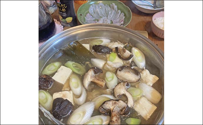 東京湾トラフグ釣りに初挑戦【千葉・吉野屋】カットウ仕掛けで本命キャッチ成功！