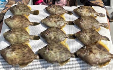 「34cmが登場！」カワハギ釣りで大型狙いチャンス到来【船釣り釣果速報…