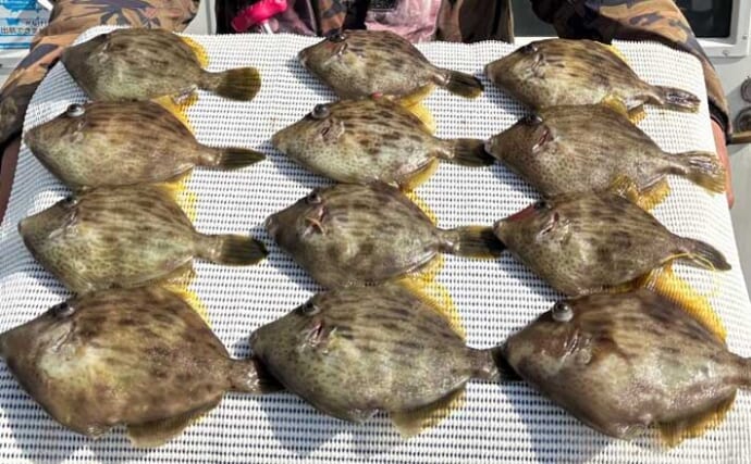 「34cmが登場！」カワハギ釣りで大型狙いチャンス到来【船釣り釣果速報・三重】