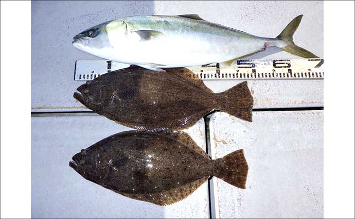 底物五目釣りでレア魚『カケハシハタ』が浮上！【船のエサ釣り最新情報／愛知・静岡】