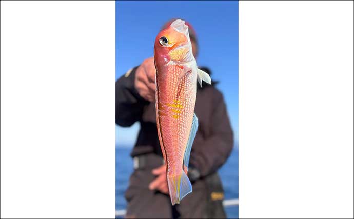 「34cmが登場！」カワハギ釣りで大型狙いチャンス到来【船釣り釣果速報・三重】