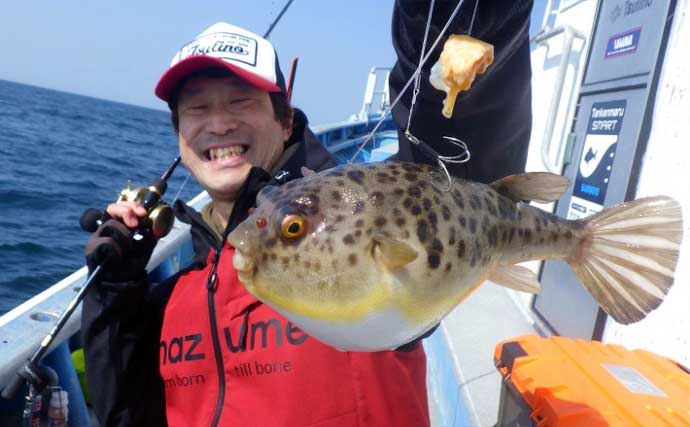 底物五目釣りでレア魚『カケハシハタ』が浮上！【船のエサ釣り最新情報／愛知・静岡】