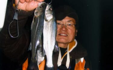 霞ヶ浦ふ頭でセイゴの数釣りを堪能！【三重】足元で連続ヒット