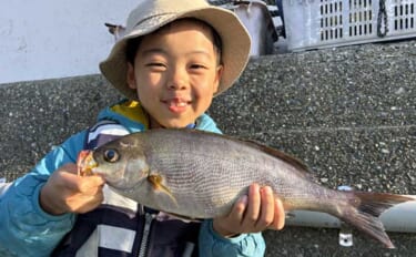 カセでのファミリーフィッシングでジャンボイサキGET！【かかり釣り最新…