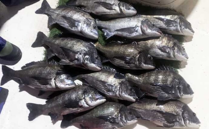 人気上昇中の『チヌジギ』ゲームで年無し含みクロダイ全員安打達成！【三重】