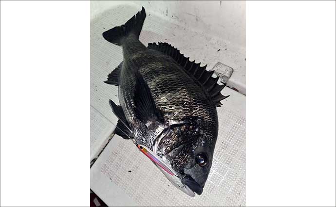 人気上昇中の『チヌジギ』ゲームで年無し含みクロダイ全員安打達成！【三重】