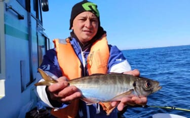 東京湾走水のビシアジ釣りで40cm超え大型アジキャッチ成功！ 降雪によ…