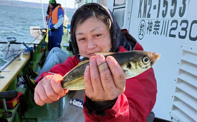 東京湾走水のビシアジ釣りで40cm超え大型アジキャッチ成功！ 降雪による食い渋りに苦戦