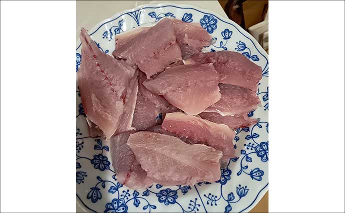 東京湾走水のビシアジ釣りで40cm超え大型アジキャッチ成功！ 降雪による食い渋りに苦戦