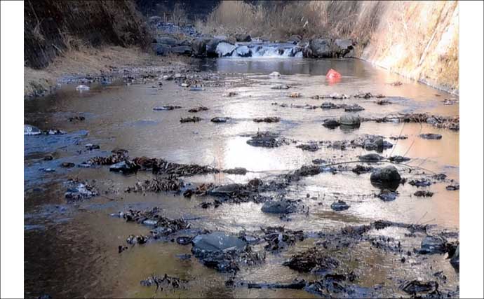 「甲斐サーモンも狙える！」 渓流釣りイチオシ河川：小菅川