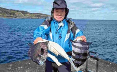 離島の堤防でイシダイ＆イシガキダイを狙う【三宅島】低水温に苦戦も全員安…