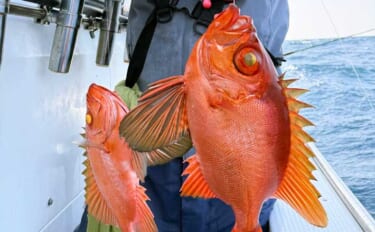 良型の『チカメキントキ』が多数ヒット！沖の五目釣り好調【船釣り釣果速報…