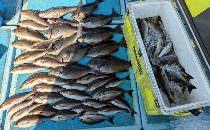 良型の『チカメキントキ』が多数ヒット！沖の五目釣り好調【船釣り釣果速報・福岡】