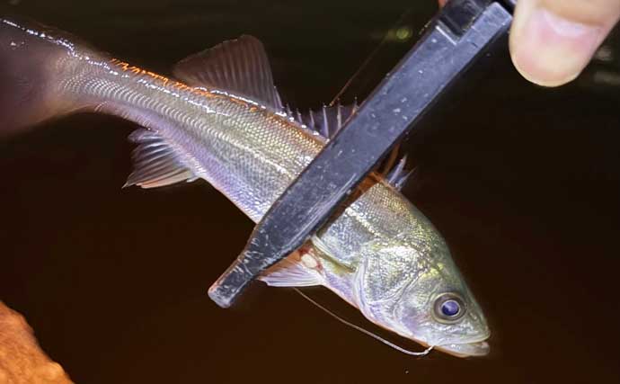 「ボウズにマンネリ・・」釣りを辞めたくなったら？　無理せず離れるのも一手