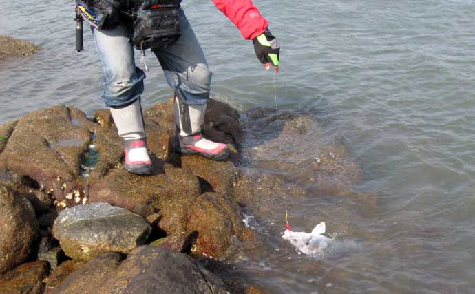 「3月から本格シーズン到来！」 サーフで楽しむ【チヌラバ】ゲームのススメ