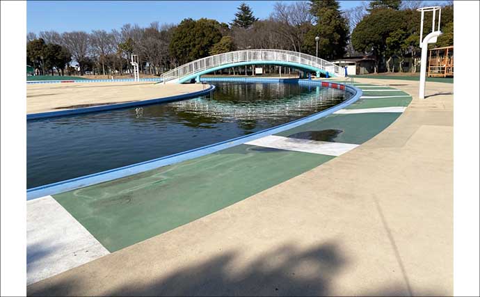 「しらこばと水上公園」でのプールフィッシングでニジマス12匹　重めのフライが的中