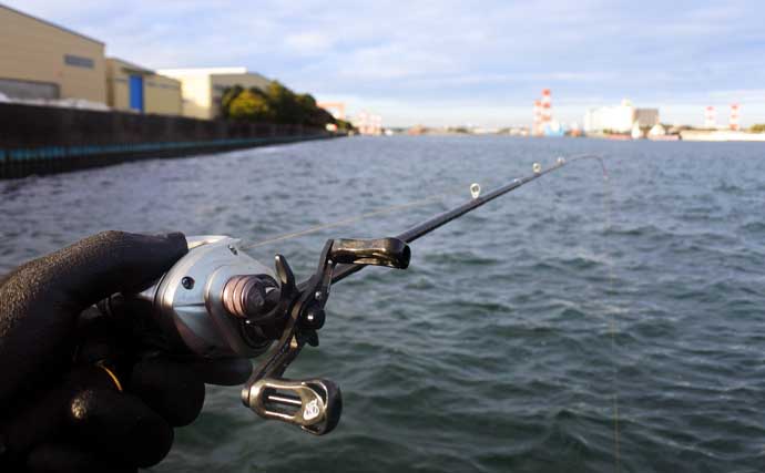 ヒガンフグ釣りの魅力を徹底解説 【タックル・仕掛け・釣り方・美味しい食べ方】