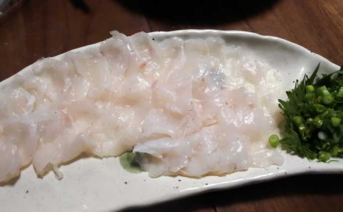 ヒガンフグ釣りの魅力を徹底解説 【タックル・仕掛け・釣り方・美味しい食べ方】