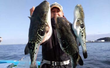 大人気『トラフグ』を船中全員キャッチ！ 関東エリアの【船釣り特選釣果】