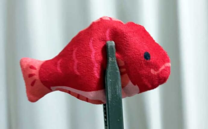 「水温一桁台の海は厳しい！」釣りのオフシーズンに釣り人がやっていることとは？