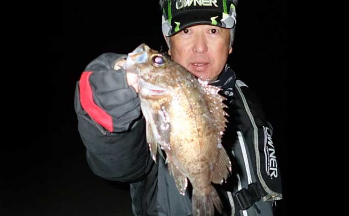 漁港での電気ウキ釣りで25cm級の良型メバル連打！ 夜メバル釣りが最盛期へ