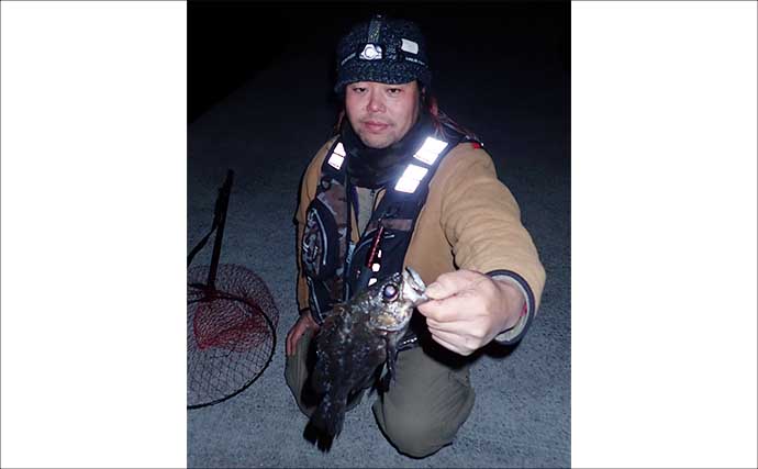 漁港での電気ウキ釣りで25cm級の良型メバル連打！ 夜メバル釣りが最盛期へ