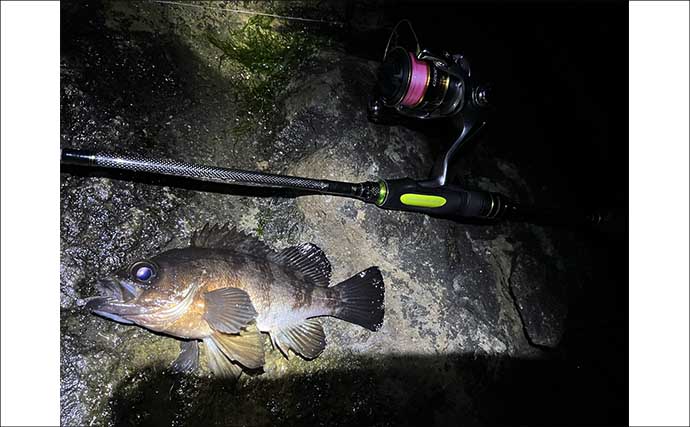 三浦半島メバリング釣行で25cmメバル獲った！ 決め手はGoogleマップ？