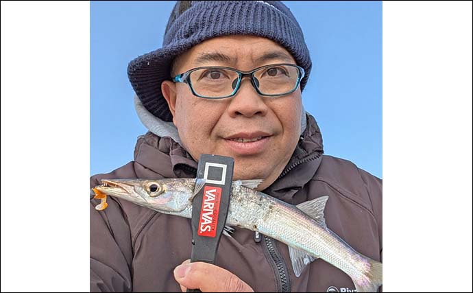 内房・外房エリアでのカマスゲームで本命と対面成功【千葉】回遊は気まぐれか