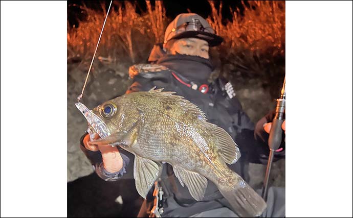 「絶好のチャンス到来中！」地磯メバリングで25cm筆頭に良型メバルが連続ヒット【熊本】