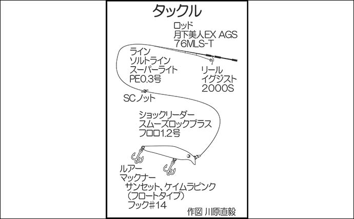 周防大島でのメバリングで29cmメバルをキャッチ！【山口】プラグルアーにヒット