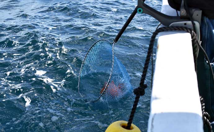 毒棘は怖いけど美味なオニカサゴを釣ろう！ 天秤（テンビン）仕掛けでの釣り方を解説