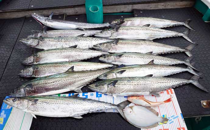 沖のキャスティングゲームでメタボサワラ連発！全員安打のチャンスあり【三重】