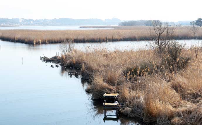 今週のヘラブナ推薦釣り場2026【千葉・大津川】
