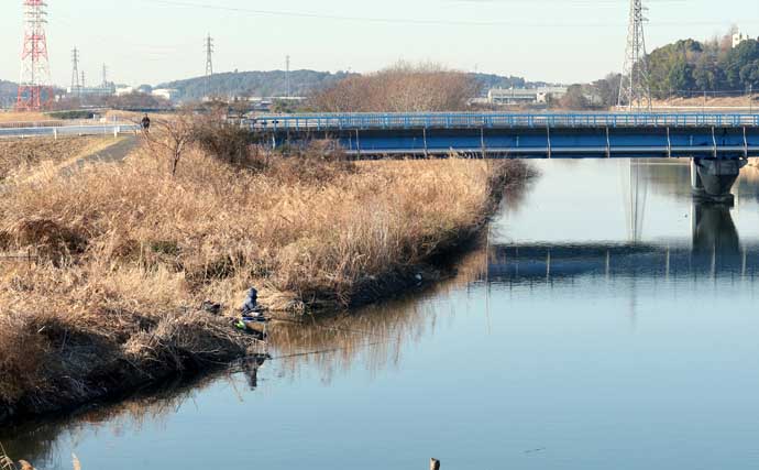 今週のヘラブナ推薦釣り場2026【千葉・大津川】