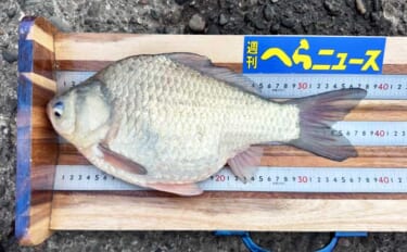 吉田康雄のザ・チャレンジへらぶな【早春の霞ヶ浦で一発勝負！！#2】