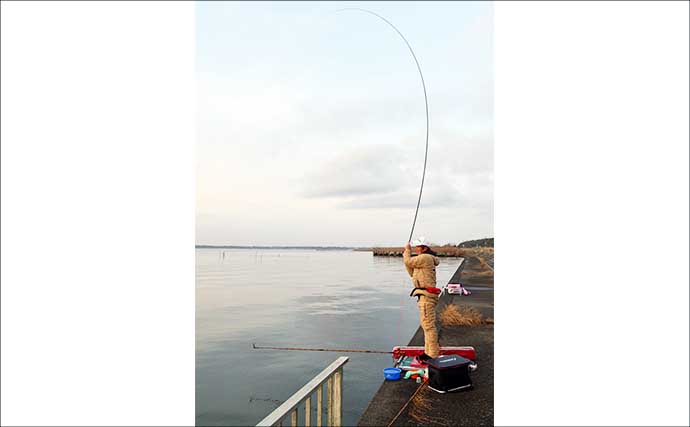 吉田康雄のザ・チャレンジへらぶな【早春の霞ヶ浦で一発勝負！！#2】