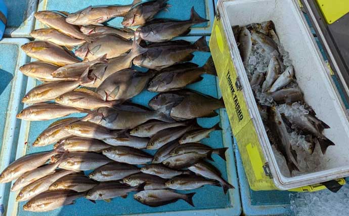 赤い美味魚『チカメキントキ』が良型主体に連発！【船釣り釣果速報・福岡】