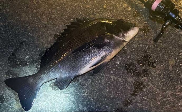 「手持ちの道具で始めよう！」 チニングに流用可能なタックルとは？