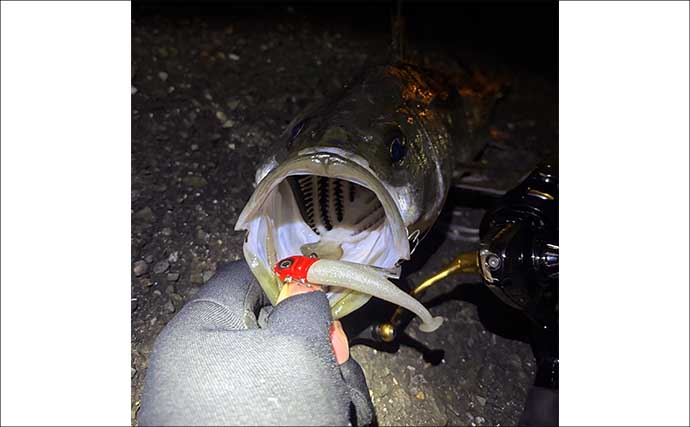 「手持ちの道具で始めよう！」 チニングに流用可能なタックルとは？