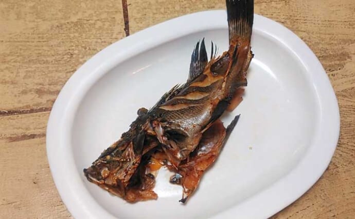 釣魚で作る「日本の味」レシピ：メバルの焼き絞め　煮付けが余ったらお試しを！
