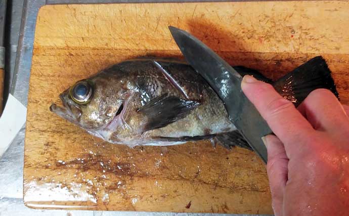 釣魚で作る「日本の味」レシピ：メバルの焼き絞め　煮付けが余ったらお試しを！