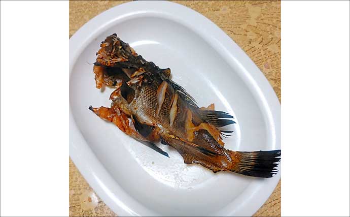 釣魚で作る「日本の味」レシピ：メバルの焼き絞め　煮付けが余ったらお試しを！