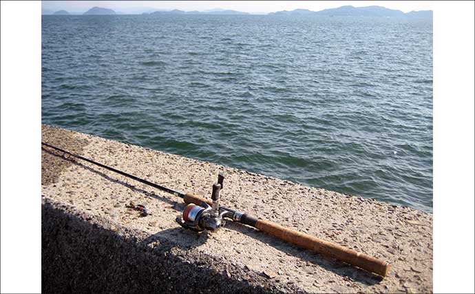 「有終の美飾れず？」終盤戦の陸っぱりイイダコ釣りで2ハイ手中も型に不満【岡山】