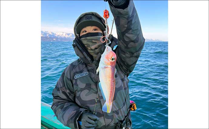 「春のノッコミシーズン間近！」タイジギング＆タイラバで良型マダイが好反応【新潟】