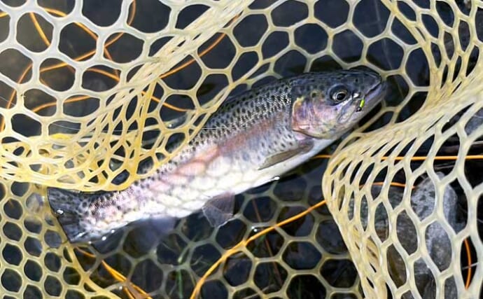 「釣り場の常連さんは最強説！」 もらったフライでニジマス連発の不思議