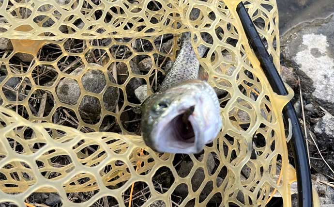 「釣り場の常連さんは最強説！」 もらったフライでニジマス連発の不思議